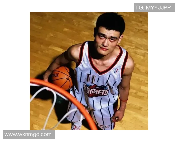 姚明妻子户口背后的故事揭示了他们的家庭生活与社会地位的深刻影响