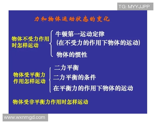 广州极限运动队状态分析与表现评估的全面研究报告