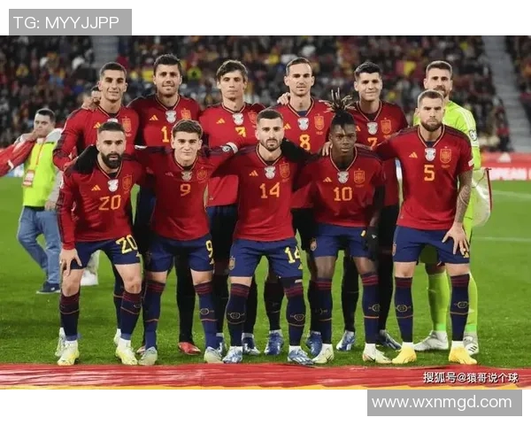 西班牙队欧洲杯阵容曝光,实力如何? 西班牙队欧洲杯阵容曝光,实力如何?