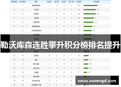 勒沃库森连胜攀升积分榜排名提升