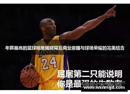 年薪最高的篮球明星揭晓背后商业帝国与球场荣耀的完美结合