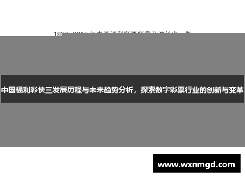 中国福利彩快三发展历程与未来趋势分析，探索数字彩票行业的创新与变革