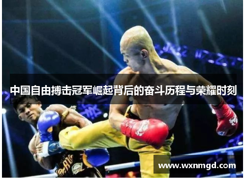 中国自由搏击冠军崛起背后的奋斗历程与荣耀时刻