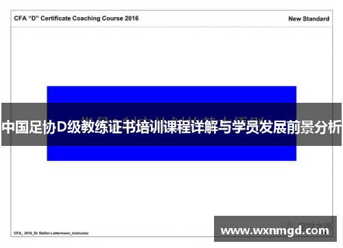 中国足协D级教练证书培训课程详解与学员发展前景分析