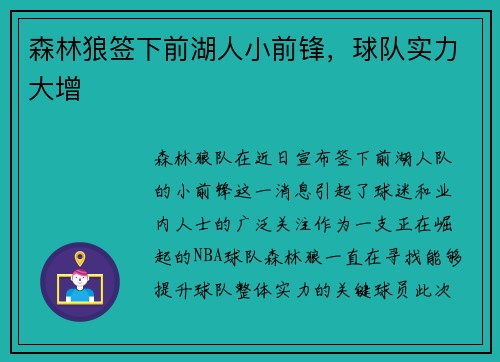 森林狼签下前湖人小前锋，球队实力大增